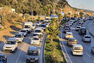 tüik muğla araç sayısı