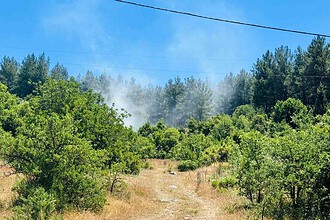 muğla menteşe orman yangını