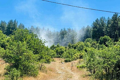 muğla menteşe orman yangını