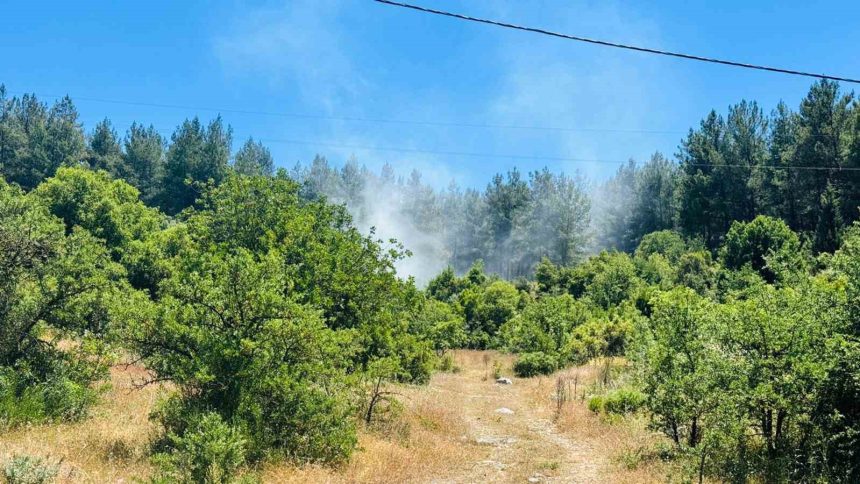 muğla menteşe orman yangını