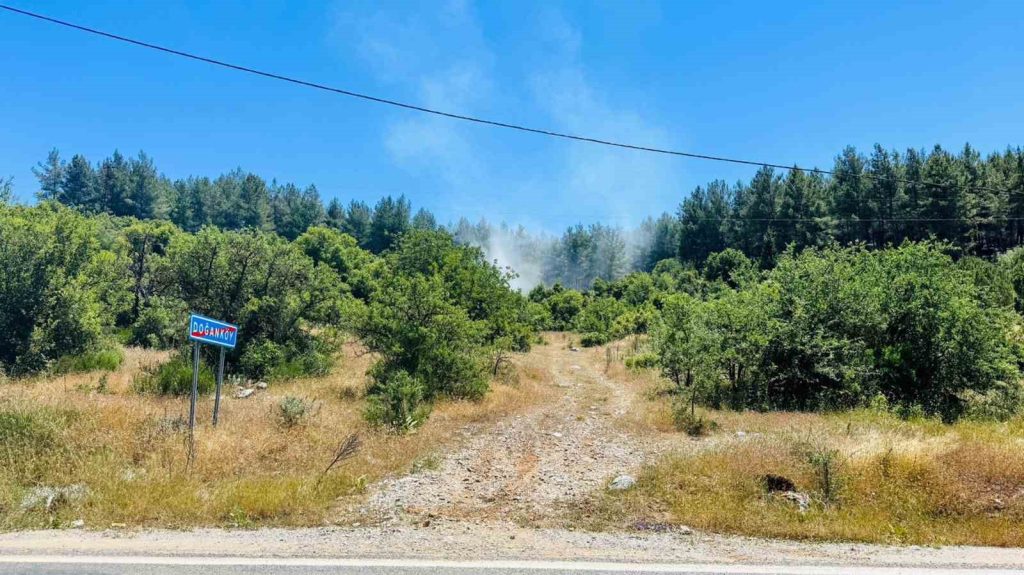 muğla menteşe orman yangını