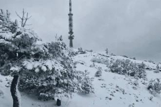 muğla kar yağışı, kavaklıdere kar, kavaklıdere kar yağışı, muğla kar, muğla göktepe dağı