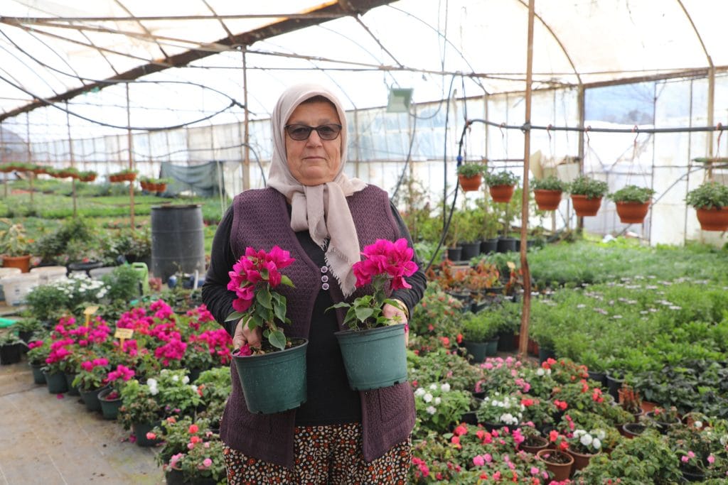 muğla alım garantili çiçek üretimi, alım garantili çiçek üretimi, muğla çiçek, muğla çiçek üretimi, muğla büyükşehir belediyesi çiçek 