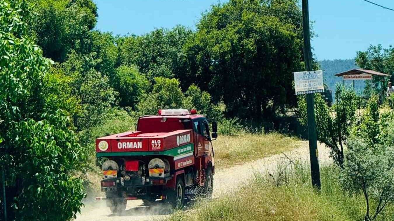 muğla menteşe orman yangını