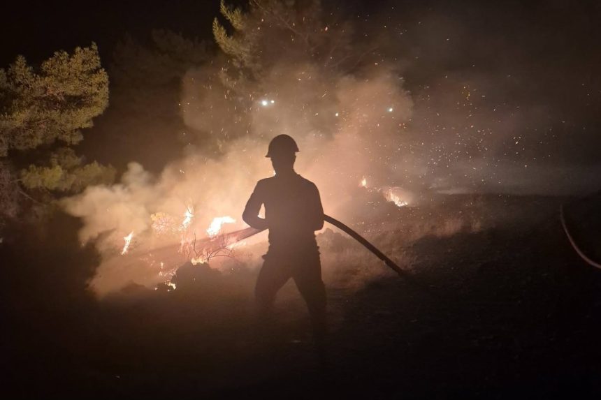 fethiye orman yangını
