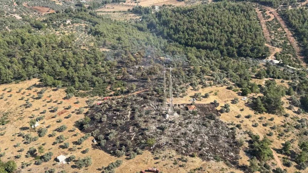 milas zirai alan yangını