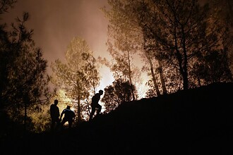 muğla orman yangını