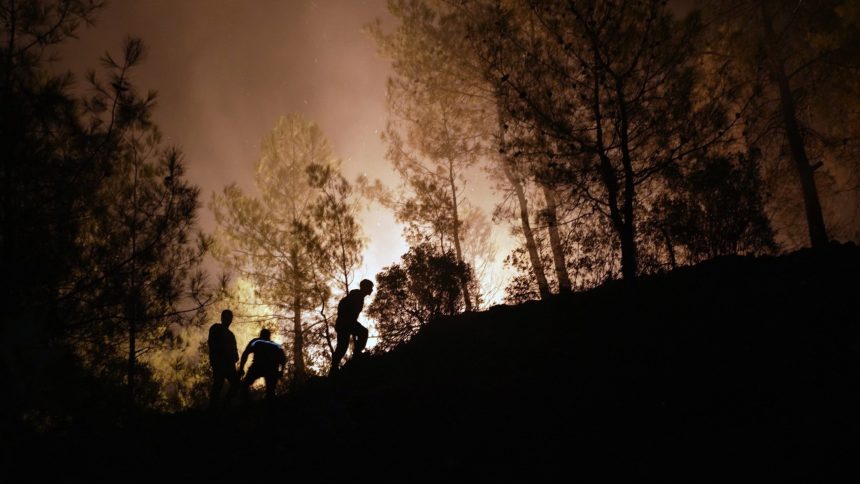 muğla orman yangını