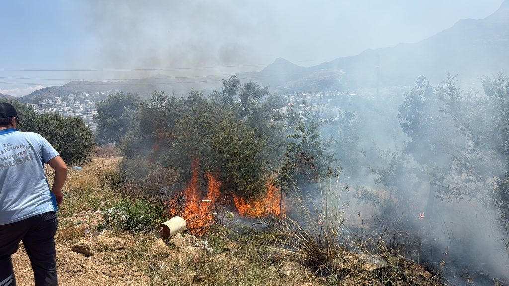 bodrum yangın, bodrum makilik alanda yangın, bodrum turgutreis, bodrum turgutreis yangın, bodrum