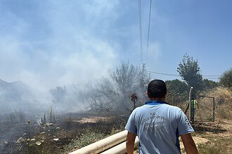 bodrum yangın, bodrum makilik alanda yangın, bodrum turgutreis, bodrum turgutreis yangın, bodrum