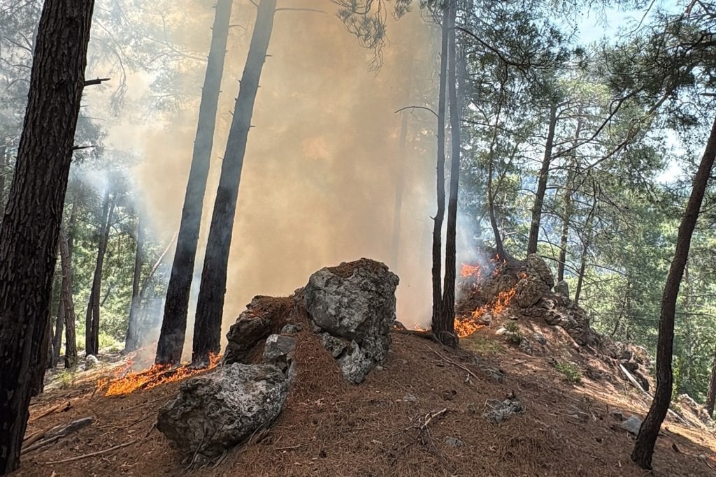 Fethiye’de araç yangını ormanlık alana sıçradı