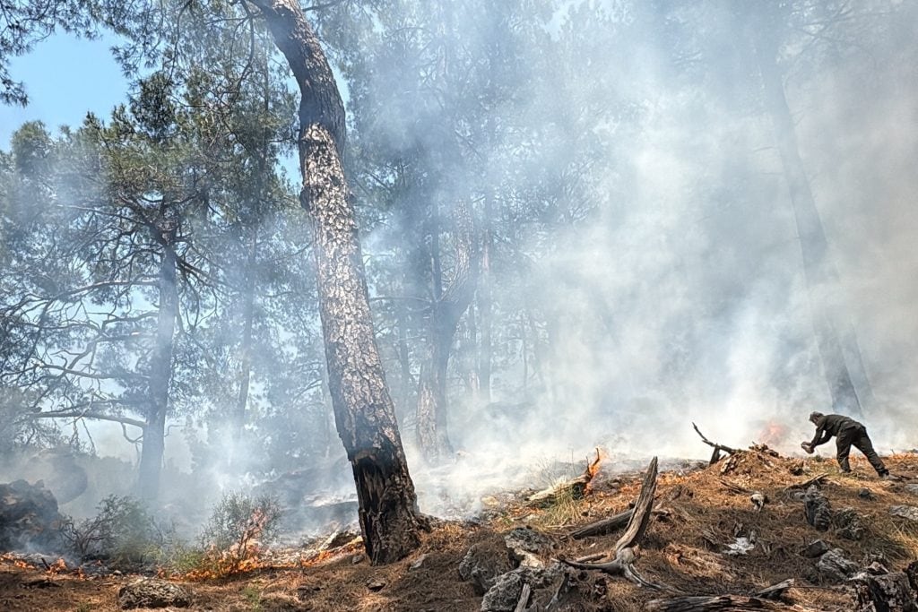 Fethiye’de araç yangını ormanlık alana sıçradı