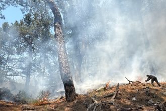 Fethiye’de araç yangını ormanlık alana sıçradı
