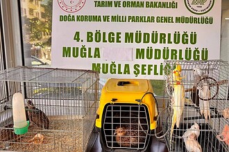 muğla kaçak hayvan ticareti