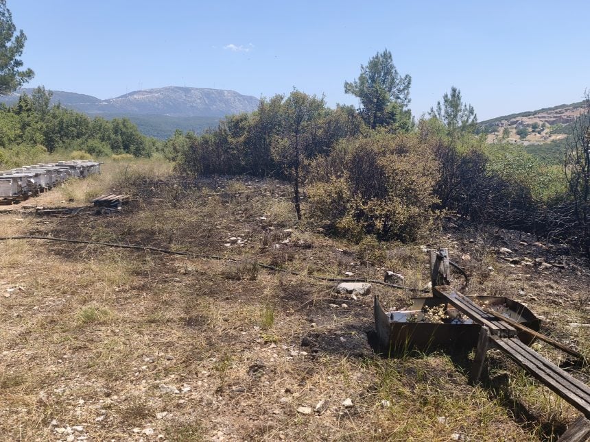 menteşe orman yangını