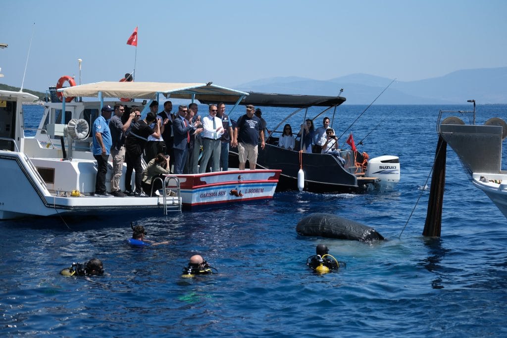 bodrum deniz hayalet ağ temizliği