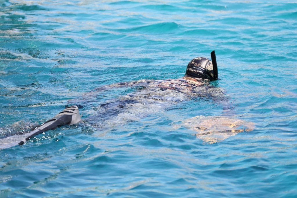 bodrum akyarlar sahili deniz dibi temizliği