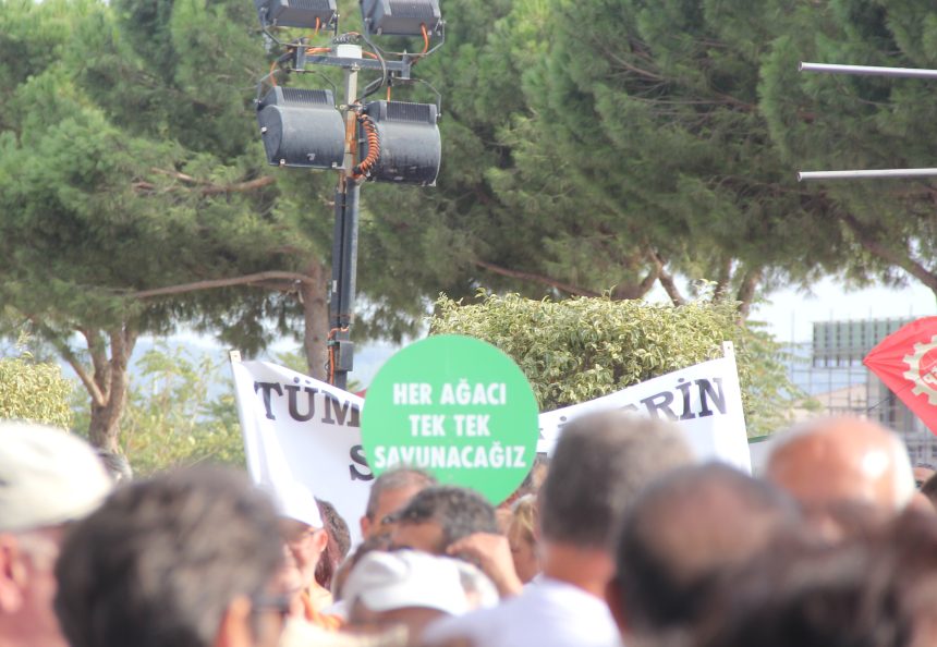 ÇED Raporu Bülteni Mayıs 2026