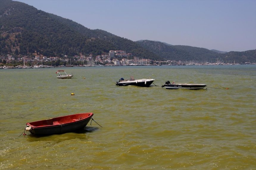 İYİ Partili Ergun, Fethiye Körfezi’ne ilişkin araştırma önergesi verdi