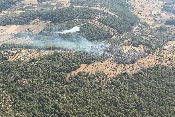 milas zirai alan yangını