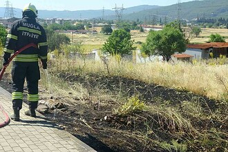 muğla menteşe yangın