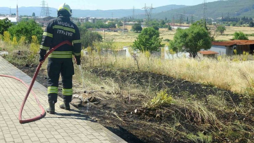 muğla menteşe yangın
