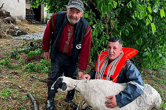muğla karabağlar yaylası koyun