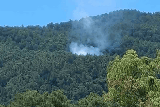 marmaris ula orman yangını