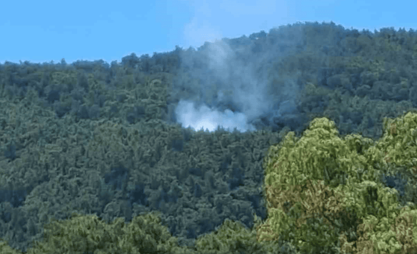 marmaris ula orman yangını