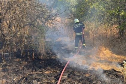 Ortaca’da limon bahçesinde ot yangını: 200 metrekarelik alan zarar gördü
