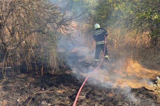 Ortaca’da limon bahçesinde ot yangını: 200 metrekarelik alan zarar gördü