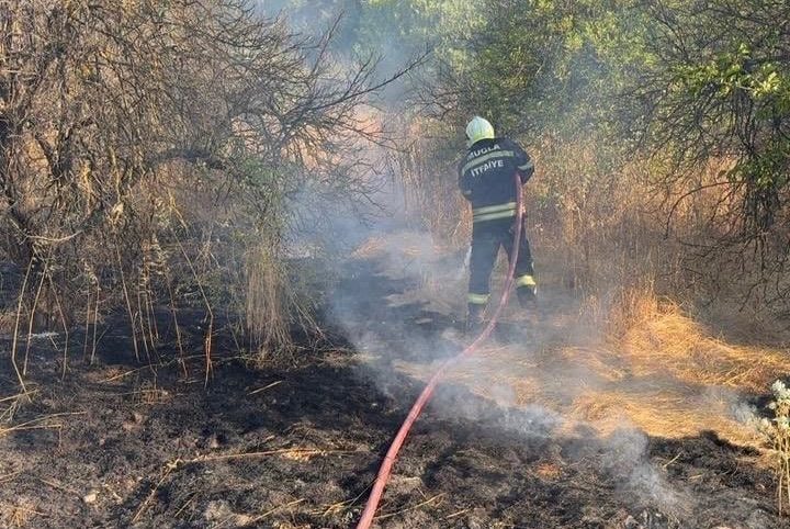 Ortaca’da limon bahçesinde ot yangını: 200 metrekarelik alan zarar gördü